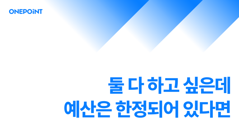 둘 다 하고 싶은데 예산은 한정되어 있다면