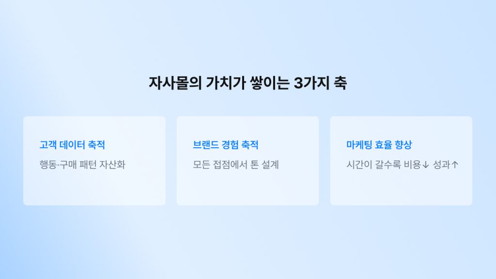 자사몰의 복리 구조를 구성하는 3가지 축(고객 데이터, 브랜드 경험, 마케팅 효율)을 정리한 인포그래픽