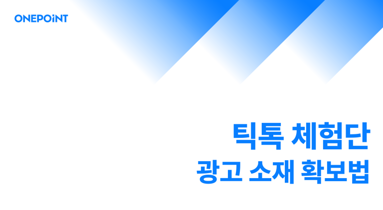 틱톡 체험단으로 광고 소재 확보하는 방법