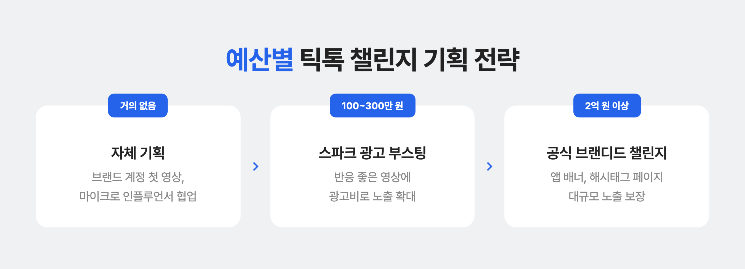 예산에 따른 틱톡 챌린지 캠페인 기획법