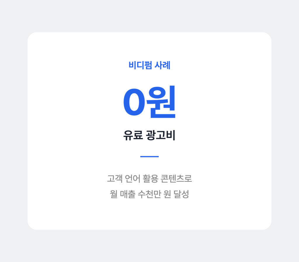 12 비디펌