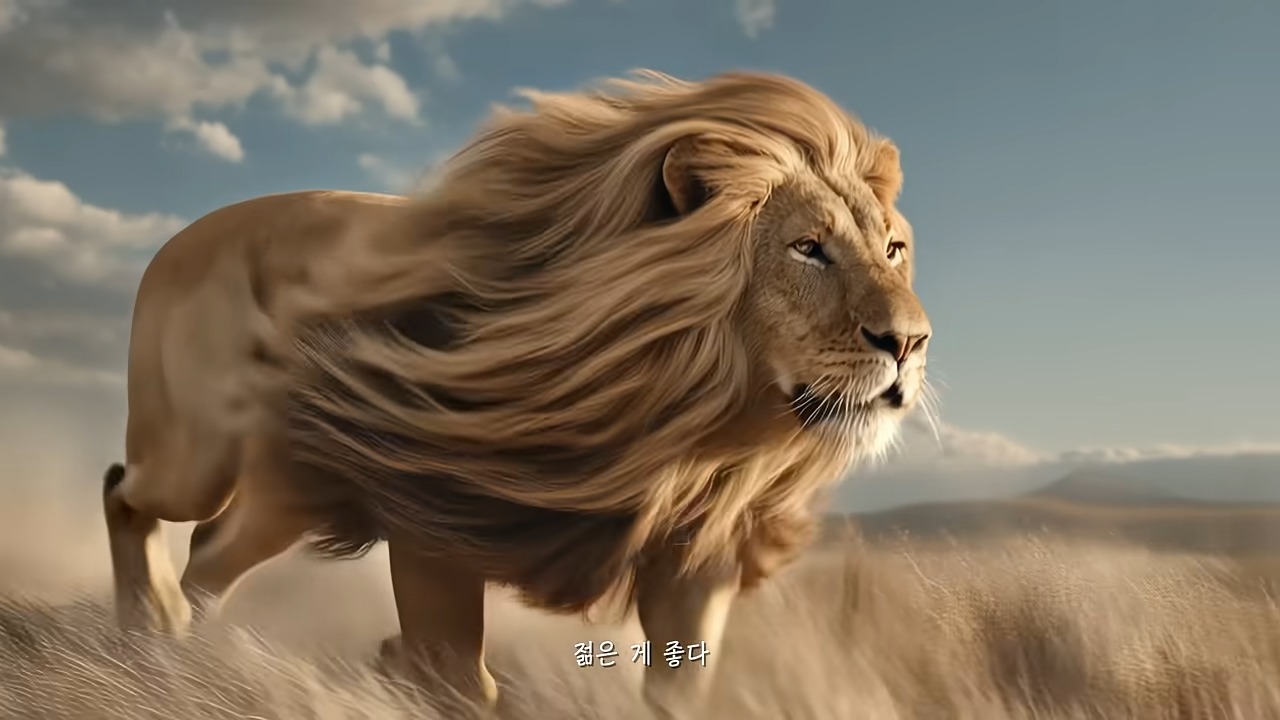 가발 브랜드 하이모 광고에 쓰인 AI 생성 사자 장면. 풍성한 갈기를 강조한 화면